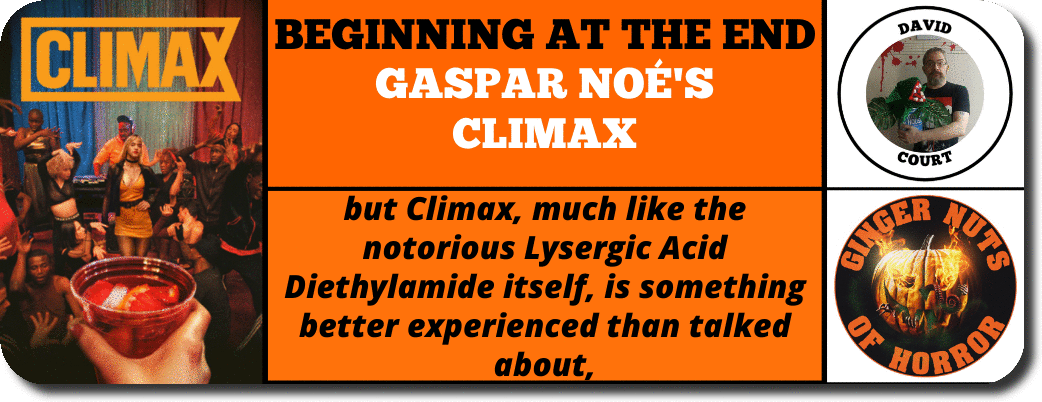 BEGINNING AT THE END  GASPAR NOÉ'S  CLIMAX