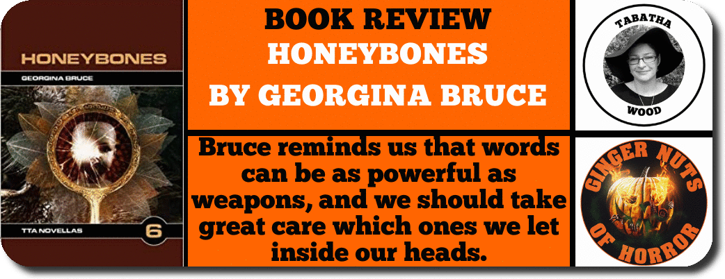 book review  honeybones  by georgina bruce 