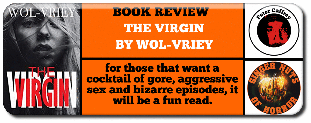 BOOK REVIEW - THE VIRGIN BY WOL-VRIEY