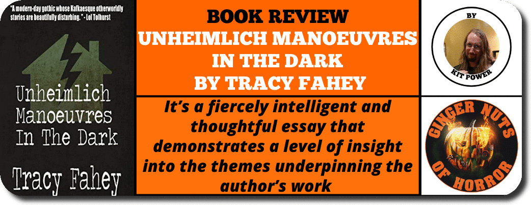 book-review-unheimlich-manoeuvres-in-the-dark-by-tracy-fahey_orig