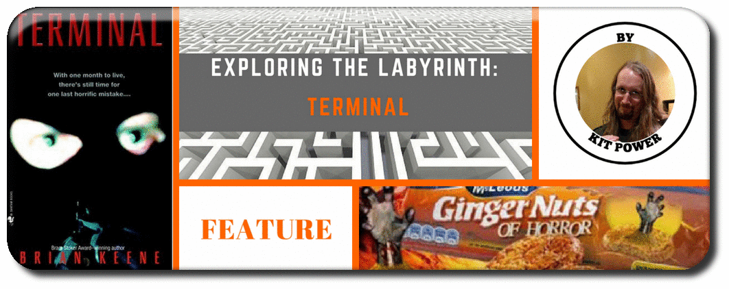​EXPLORING THE LABYRINTH: TERMINAL Picture