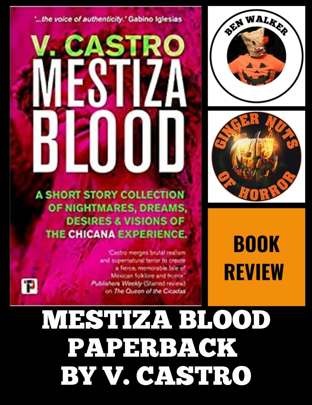 MESTIZA BLOOD PAPERBACK BY V. CASTRO