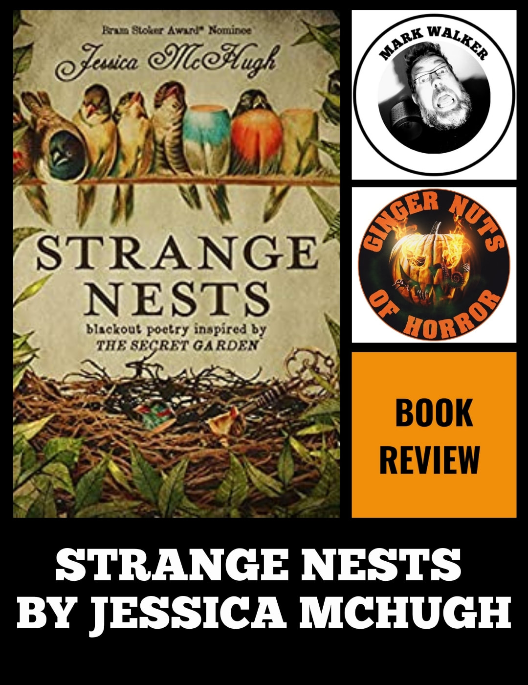 HORROR FICTION REVIEW STRANGE NESTS BY JESSICA MCHUGH