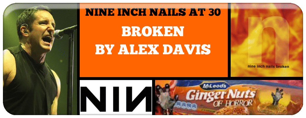 NINE INCH NAILS AT 30 A REVIEW SERIES OF EVERY NINE INCH NAILS ALBUM .png Picture