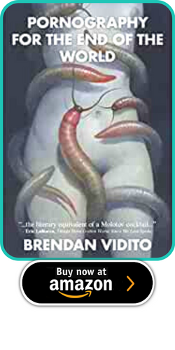 Pornography for the End of the World Paperback – 31 July 2022 by Brendan Vidito  (Author)