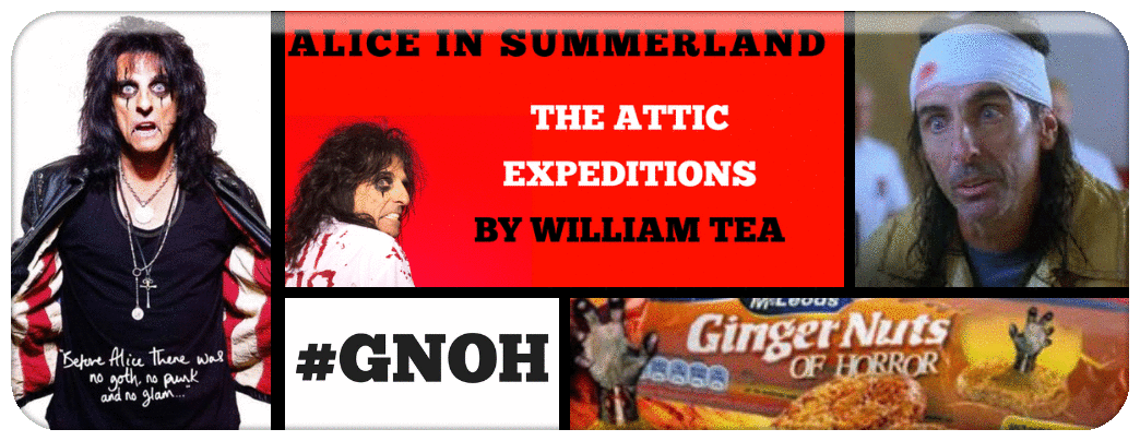 THE ATTIC EXPEDITIONS BY WILLIAM TEA Picture