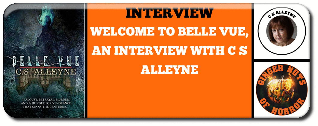 WELCOME TO BELLE VUE, AN INTERVIEW WITH C S ALLEYNE